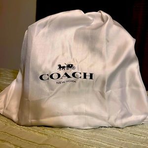 Willow green coach purse